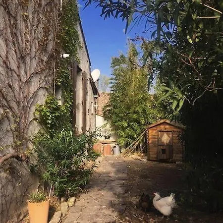 La Campagne Dans La Ville Narbonne Exterior photo