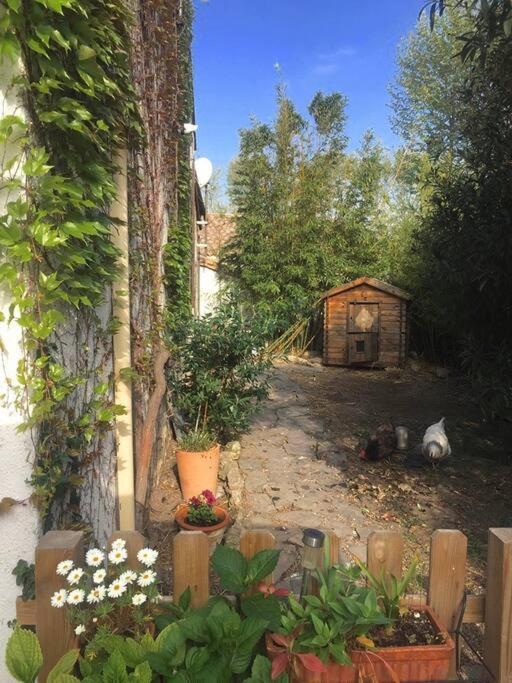 Apartment La Campagne Dans La Narbonne
