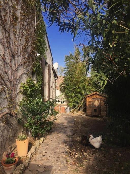 Apartment La Campagne Dans La Narbonne